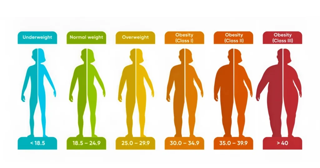 BMI categories chart showing underweight, normal, overweight, and obesity ranges for BMI Calculator
